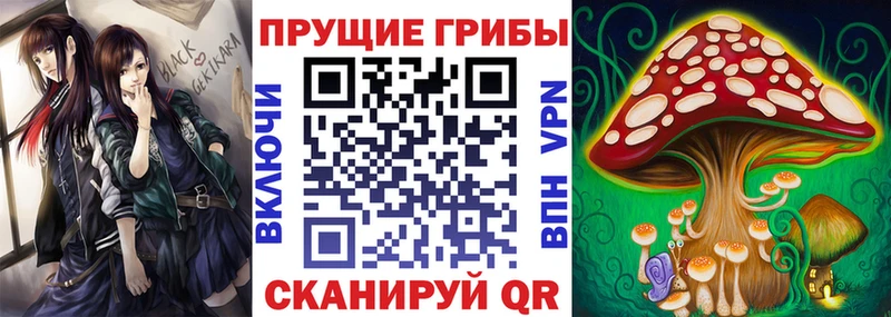 купить наркоту  Щёкино  Псилоцибиновые грибы Magic Shrooms 
